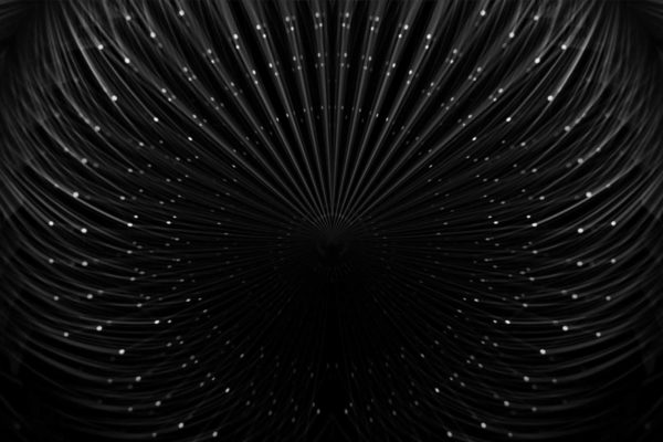 Smart_Lines_Animation_Motion_Graphics_Full_HD_Vj_Loop_Video_Footage_Layer_62