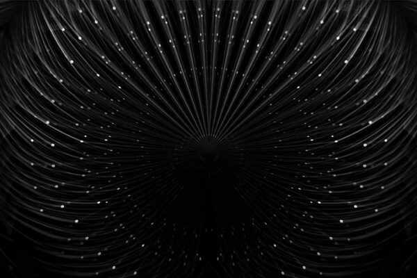 Smart_Lines_Animation_Motion_Graphics_Full_HD_Vj_Loop_Video_Footage_Layer_62-cgi-720h