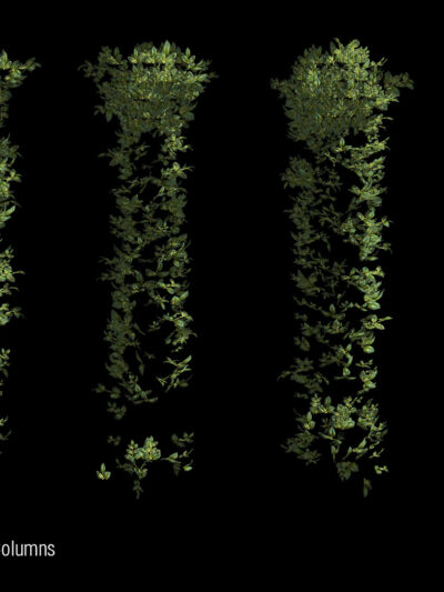 video mapping toolkit growing plants