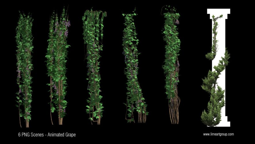 projection video mapping visual toolkit growing plants