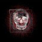 Skull VJ Loops