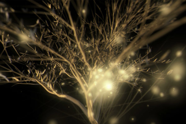Gilded_Roots_VIsuals_Motion_Backgrounds_Layer_317
