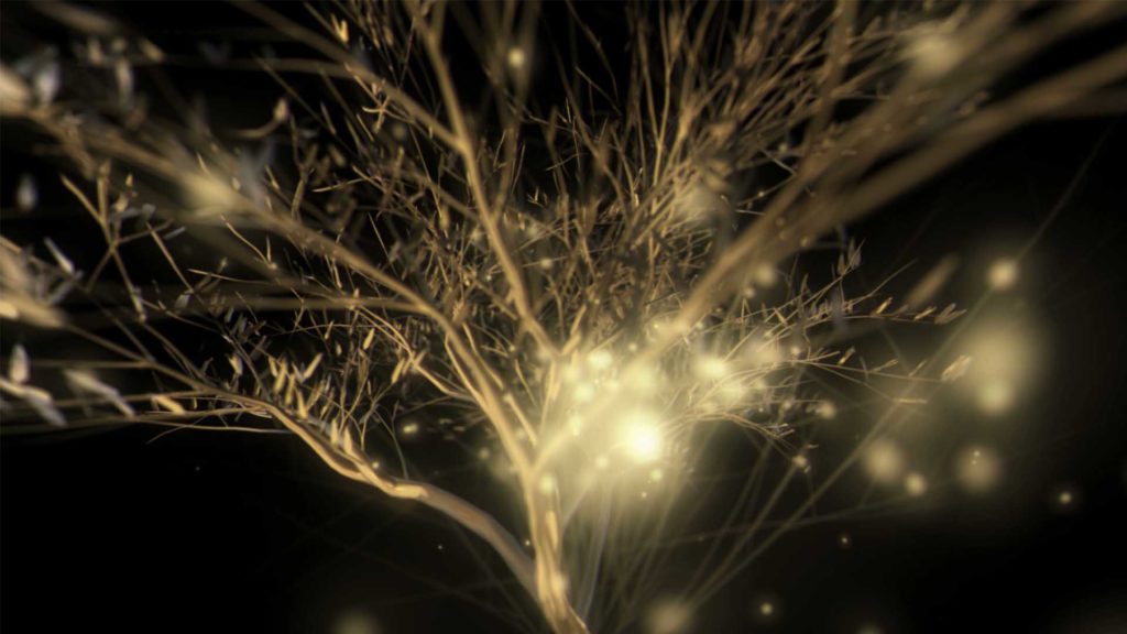 video vj loops