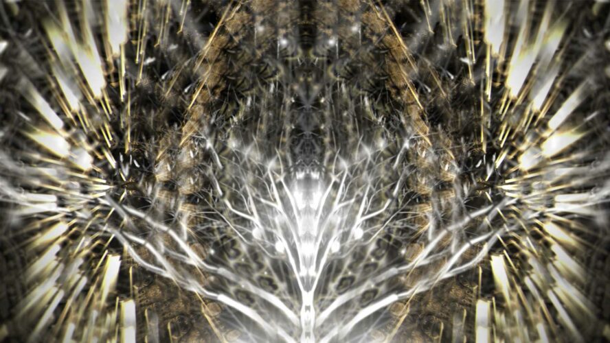 Gold_Abstract_Pattern_Golden_Tree_Video_Footage_Animated_motion_background_vj_loop