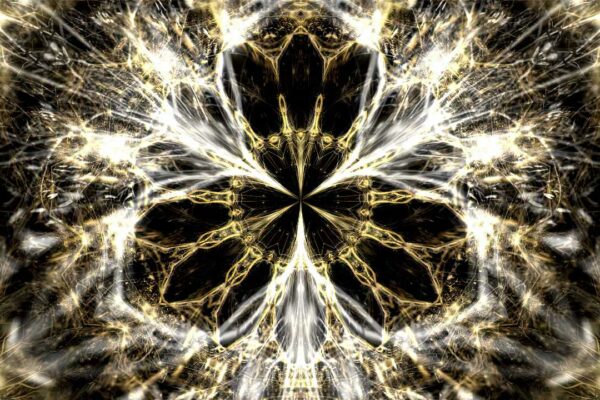 vj clip golden tree