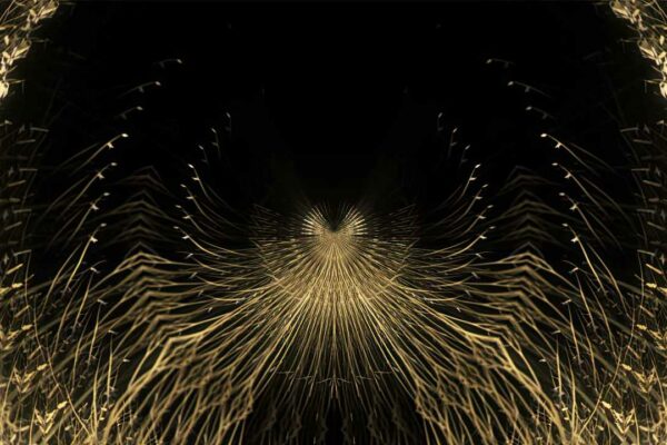 vj loops