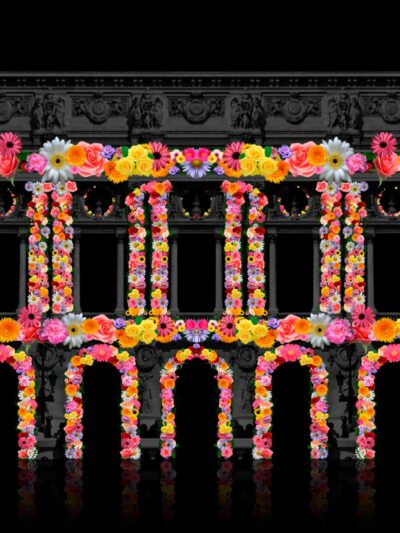 flower animation video mapping toolkit