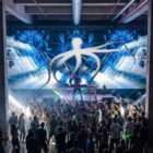 psy octopus footage for concerts