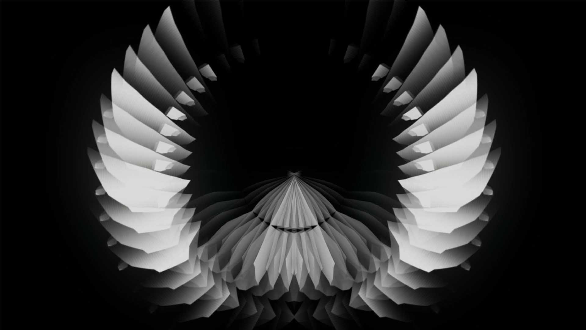 circle geometric white background video loop