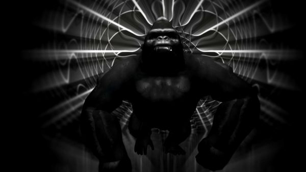 gorilla video wallpaper