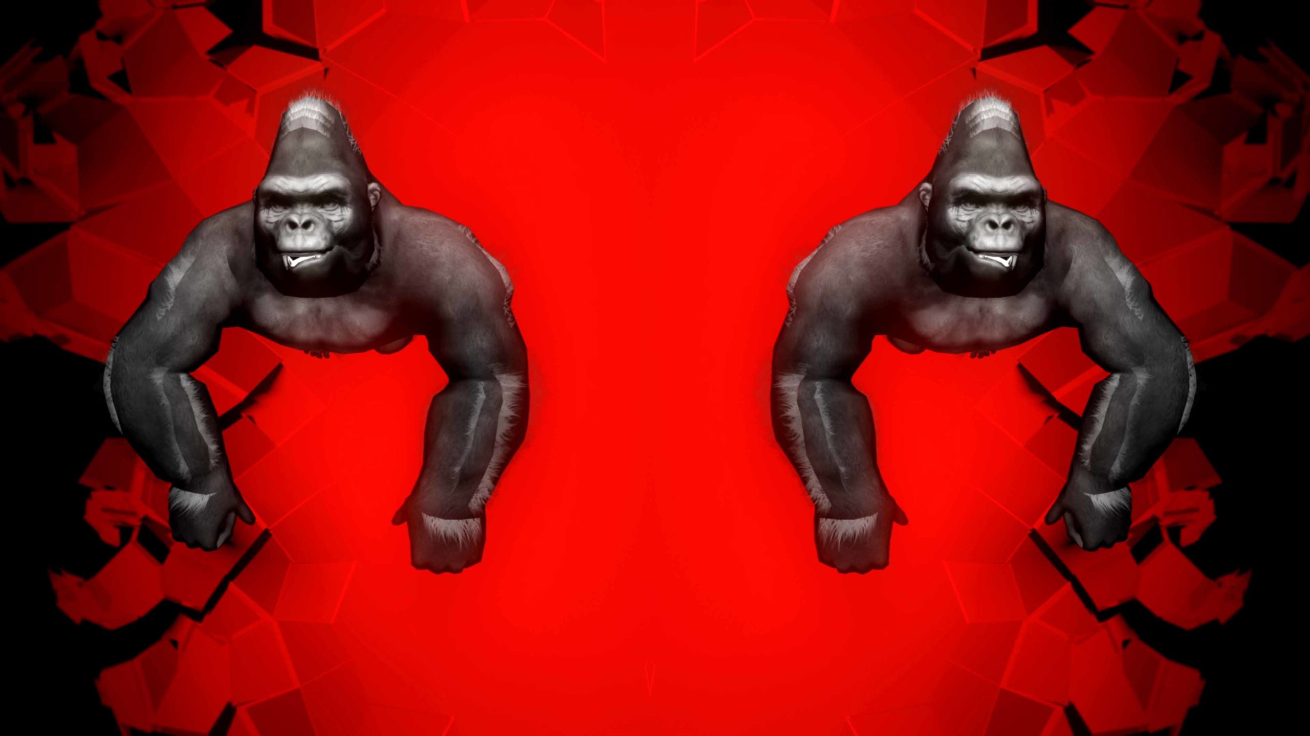 VJ Loops Pack  - Rave Ape Gorilla — LIME ART GROUP