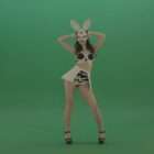 green screen video footage