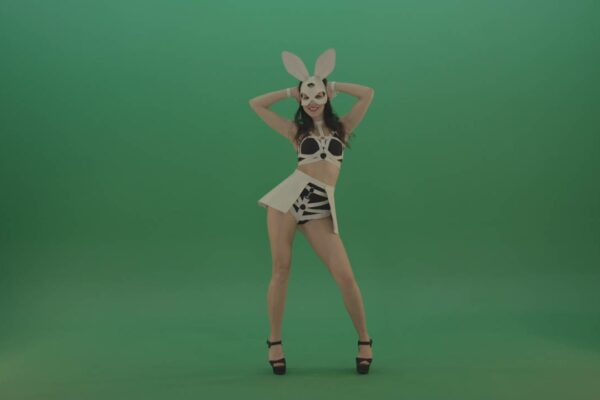 green screen video footage