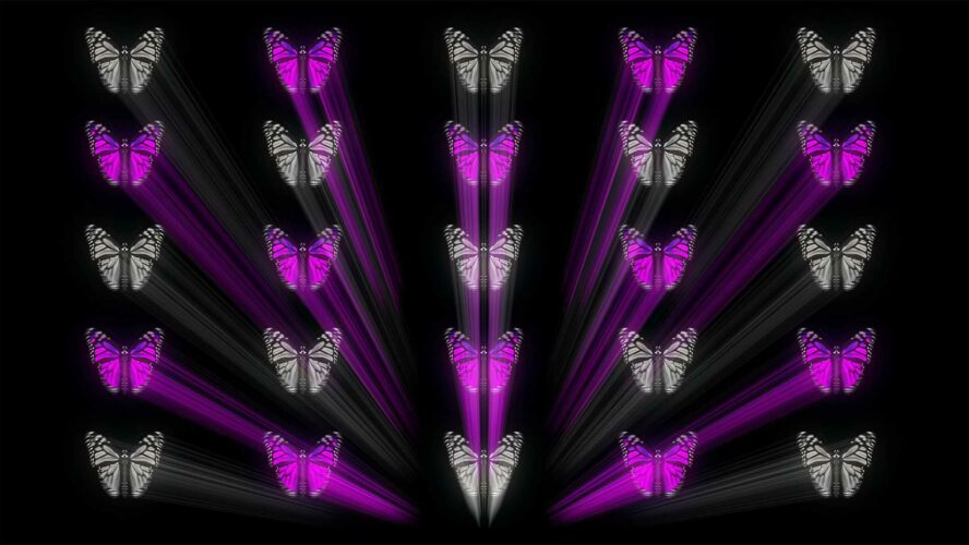 Butterfly 4K Vj Loops