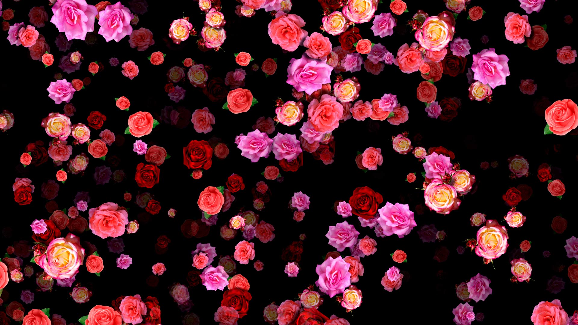 Motion Background Flower Rain