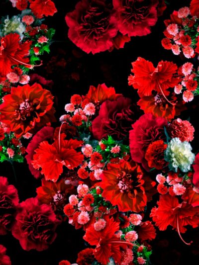 VJ Loop Flower Rain