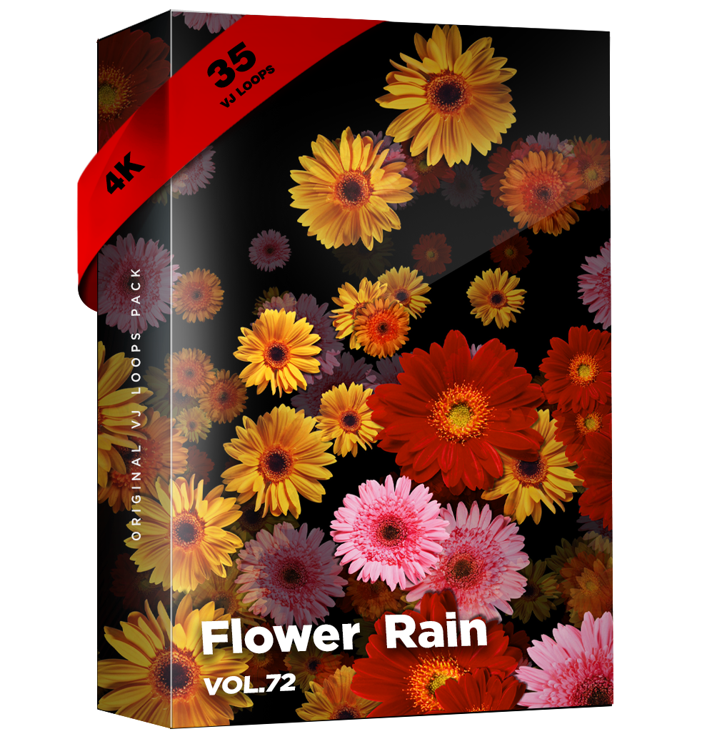 VJ Loops Pack Vol.72 Flower Rain