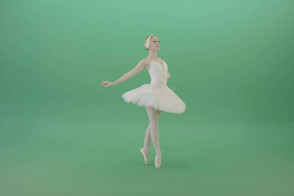 dancers performing smooth choreography isolated background