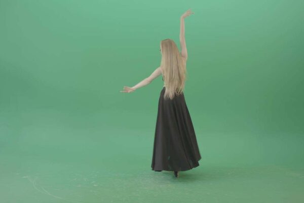 dancers performing classic ballroom moves chroma key