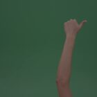 green screen stock video hands