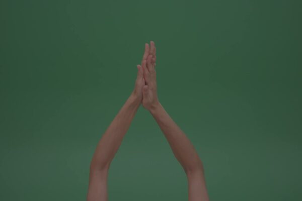 green screen stock video hands