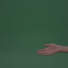 Green screen video footage