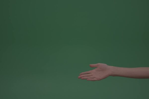 Green screen video footage