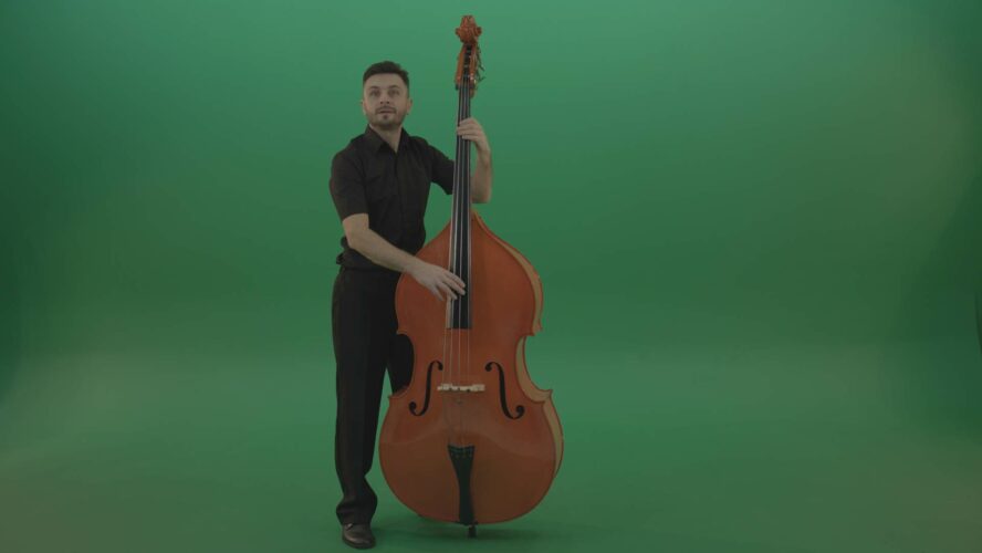 double bass music player man isolated on green screen