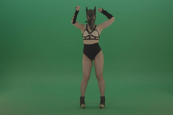 BDSM girl in wolf mask on green screen