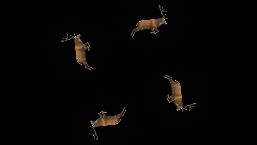vj loops with deer pentagram