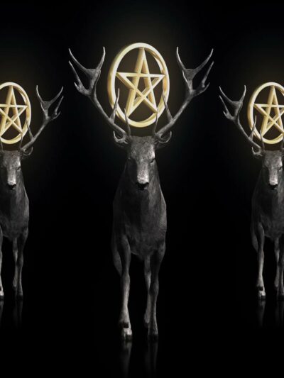 Stag deer abstract video art with pentagram vj loop
