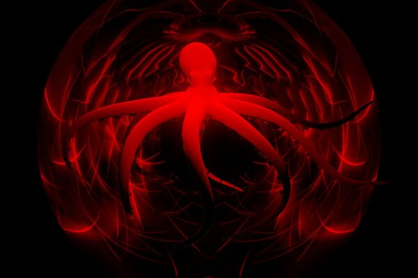 Psychedelic-PSY-octopus-video-art-full-HD-VJ-Loop