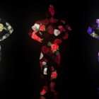 silhouette of bodybuilder man video footage