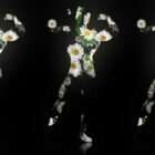 silhouette of bodybuilder man video footage