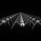 Halloween Spider Video Footage VJ Loops Pack