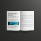 Immersive Projection Show Book, Guide, manual