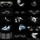 AI Visuals Fish Video footage for holographic