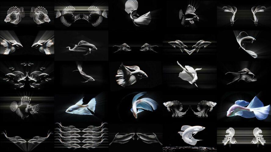 AI Visuals Fish Video footage for holographic