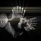 Hologram Fish Video VJ Loop AI
