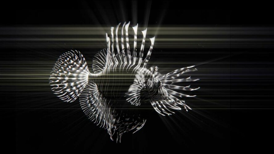 Hologram Fish Video VJ Loop AI