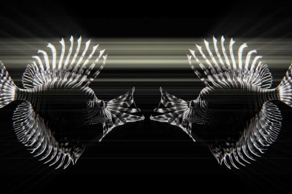 AI Visuals Fish Video VJ Loop