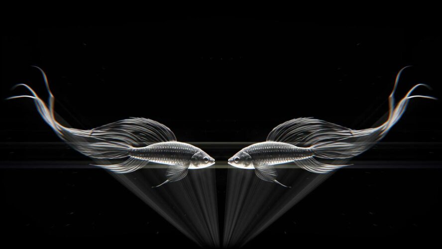 AI Video VJ Loop