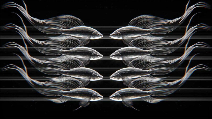 AI Video VJ Loop