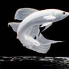 AI Visuals Fish Video VJ Loop