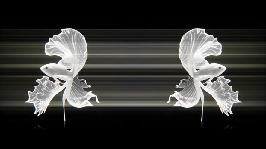 AI Visuals Fish Video VJ Loop
